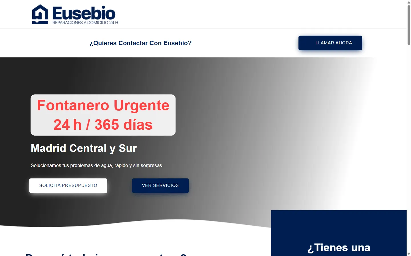 Captura del proyecto Eusebio Pricop